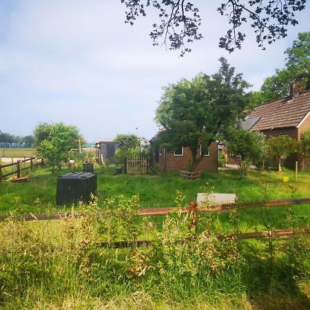 Trekkershut - Tiny House - Hikers Cottage Wijster Zewnętrze zdjęcie