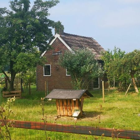 Trekkershut - Tiny House - Hikers Cottage Wijster Zewnętrze zdjęcie