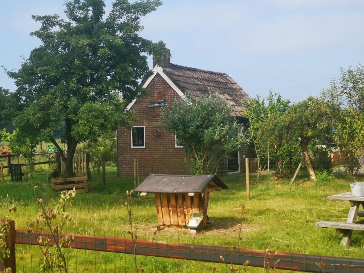 Trekkershut - Tiny House - Hikers Cottage Wijster Zewnętrze zdjęcie