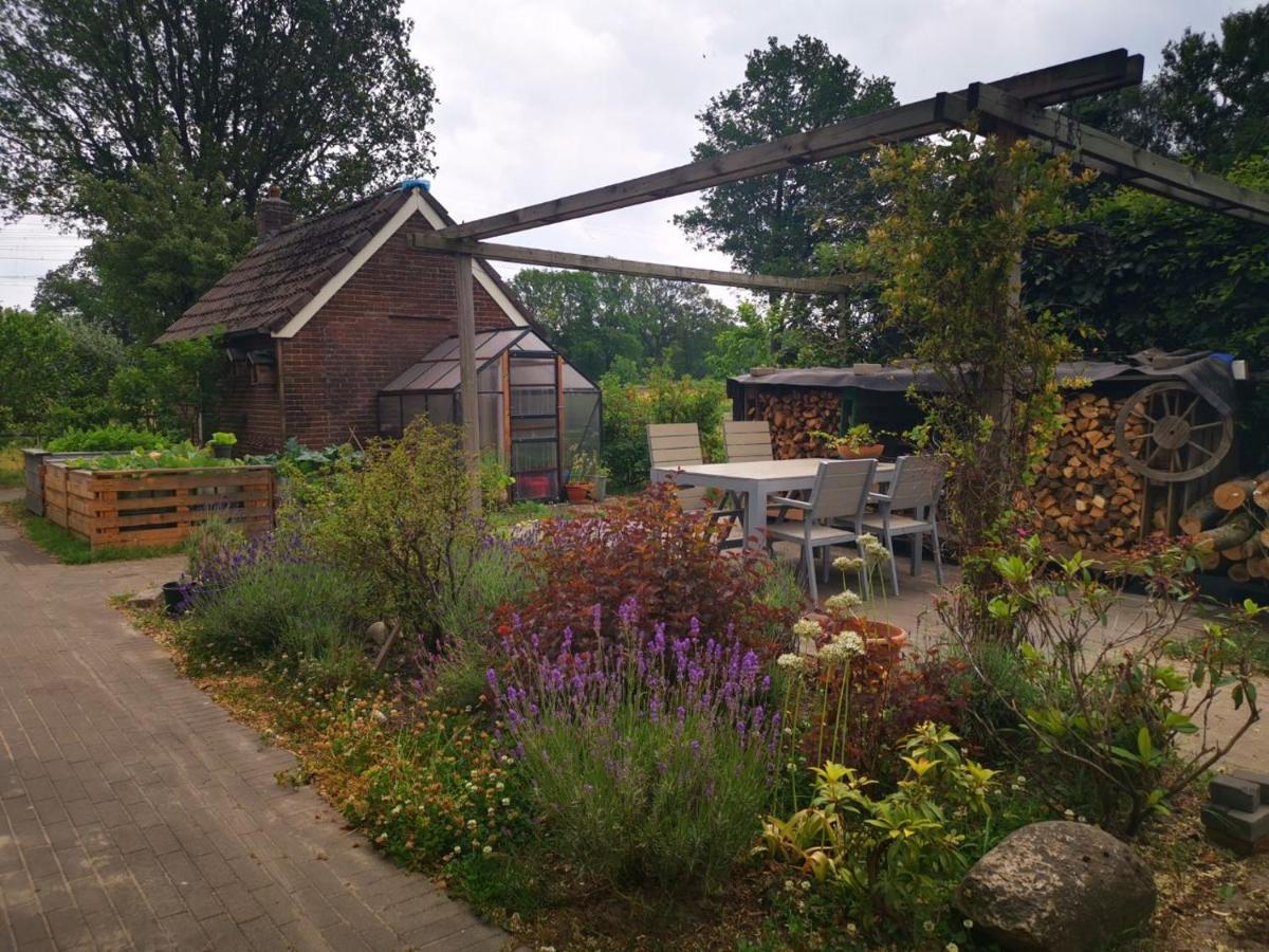 Trekkershut - Tiny House - Hikers Cottage Wijster Zewnętrze zdjęcie