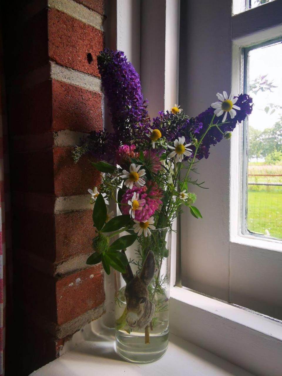 Trekkershut - Tiny House - Hikers Cottage Wijster Zewnętrze zdjęcie