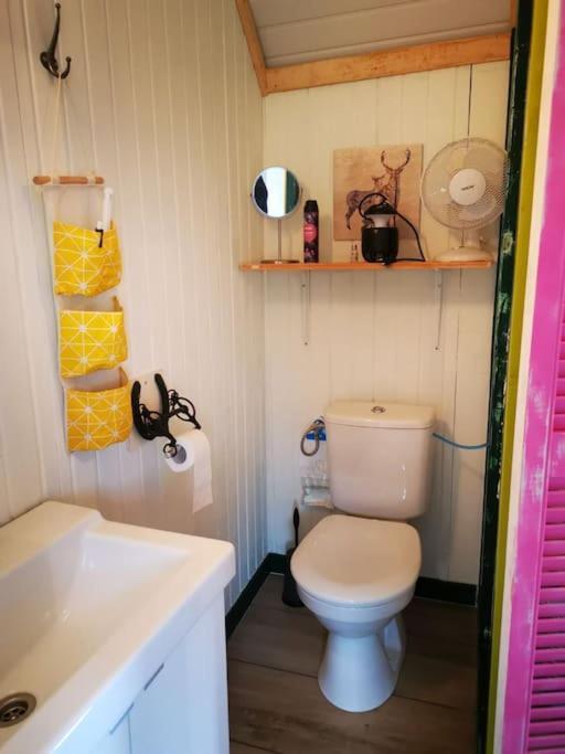 Trekkershut - Tiny House - Hikers Cottage Wijster Zewnętrze zdjęcie